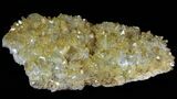Plate Of Gemmy, Chisel Tipped Barite Crystals - Mexico #78140-2